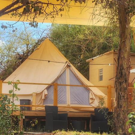 Glamping Dunas Del Sol 산 페드로 데 아타카마 외부 사진