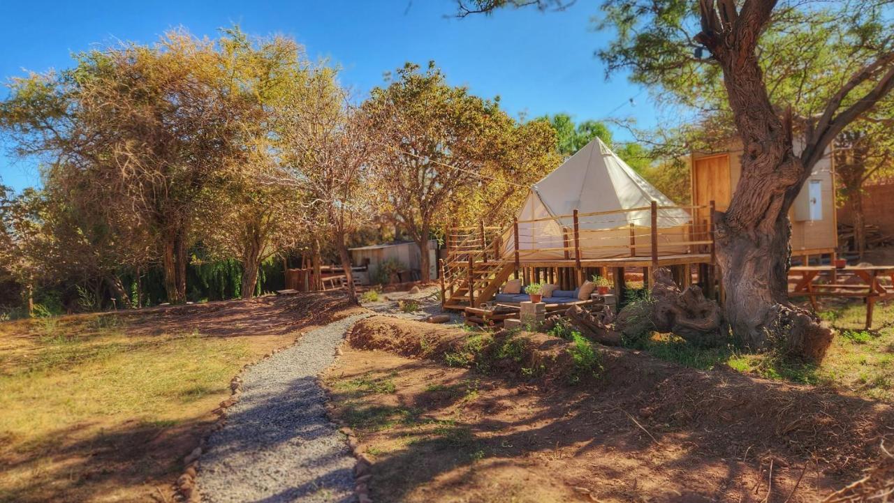Glamping Dunas Del Sol 산 페드로 데 아타카마 외부 사진