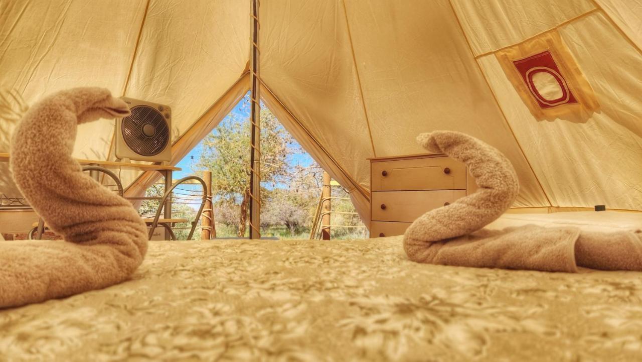 Glamping Dunas Del Sol 산 페드로 데 아타카마 외부 사진