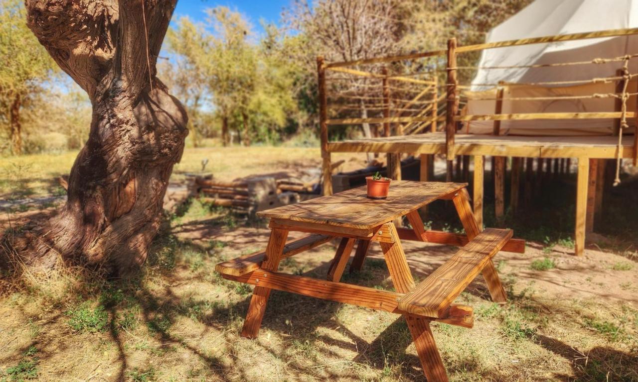 Glamping Dunas Del Sol 산 페드로 데 아타카마 외부 사진